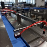 Ligne d'emballage horizontale automatique pour biscuits, gâteaux et craquelins avec tri, alimentation et conditionnement