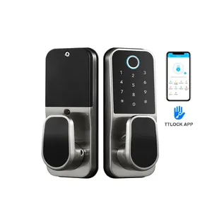 Digital Alexa Riegels chloss Zink legierung Smart Biometrischer Finger abdruck Keyless Entry Cerradura Inteli gente Türschloss WiFi TTlock APP