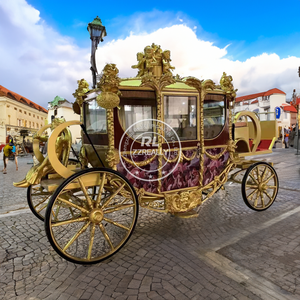 عربة حصانية للسندريلا الأميرة 2024 للبيع عربات زفاف ملكية لمشاهدة المعالم السياحية عربة حصانية كهربائية لحفلات الزفاف - Product Image 6