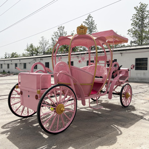 Nuevo Carruaje Eléctrico Real Rosa de Ensueño a Bajo Precio - Product Image 5