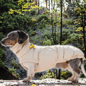 Abrigo Clásico de Diseño para Perros, Ropa para Mascotas, Chaqueta de Lujo para Perros Dachshund, Wiener, Dackel, Bassotto, Venta al Por Mayor - Product Image 3