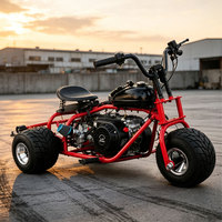 FRANFUN Garantía de Calidad, Mini Trike de Gasolina de 212cc, 45KM/H, Alta Velocidad, Karts de Derrape, Motocicleta Compacta de 3 Ruedas