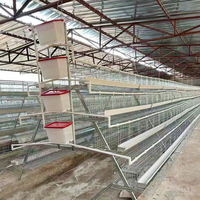 Cage à poules pondeuses galvanisée en forme de A, 4 niveaux, capacité 128/160, cage à poulets en batterie, poulailler en acier pour le marché africain