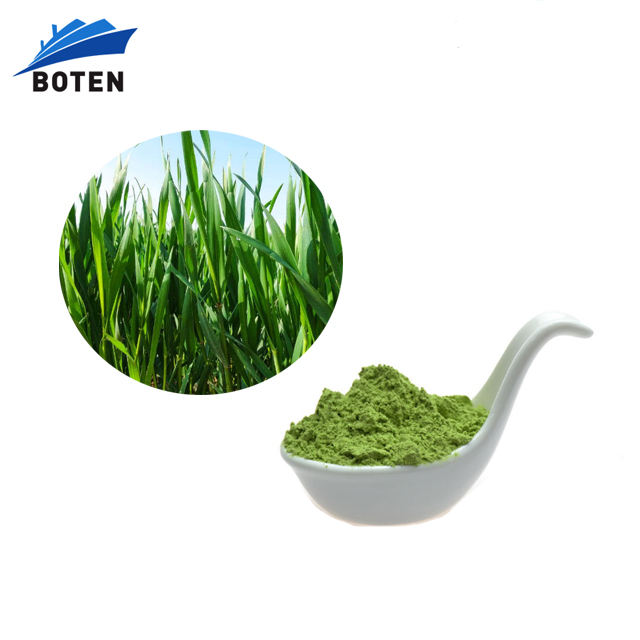 Halal Certified Barley Grass Juice Powder Green Barley Grass Powder halal-certified-barley-grass-juice-powder-green-barley-grass-powder