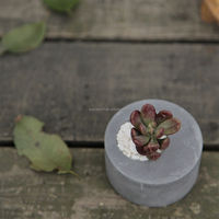 Design minimaliste moderne petit pot de fleurs personnalisable en gros jardinière en béton pour balcon jardin de bureau respectueux de l'environnement