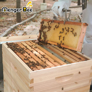 Kit de Inicio para Apicultura Langstroth de 10 Cuadros para Principiantes con Cuadros de Colmena y Base de Cera (1 Caja Profunda y 1 Caja Mediana) - Product Image 4