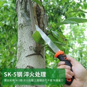 Garden Hand Saw 240mm SK5 Steel Blade With Plastic Sheath For Wood Cutting And Pruning - Product Image 4