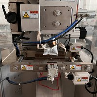 Machine de remplissage et d'emballage automatique de chips/noix de haute précision