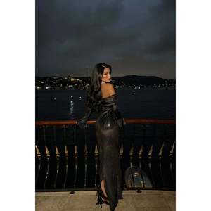 เดรสยาวทรงเอไลน์ปักเลื่อมสีเงิน คอวี แต่งขนนกถักโครเชต์ เอวทรงเอ็มไพร์ สไตล์งานเลี้ยงอย่างเป็นทางการ แขนสามส่วน ไซส์ XL - Product Image 1