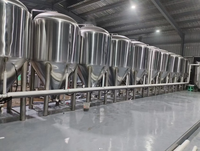 Fermenteur à bière à fond conique en acier inoxydable Deyi 304/316/316L