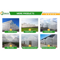 Légumes de qualité alimentaire Nft systèmes de culture hydroponique gouttière bac de plantation pour fraises et tomates