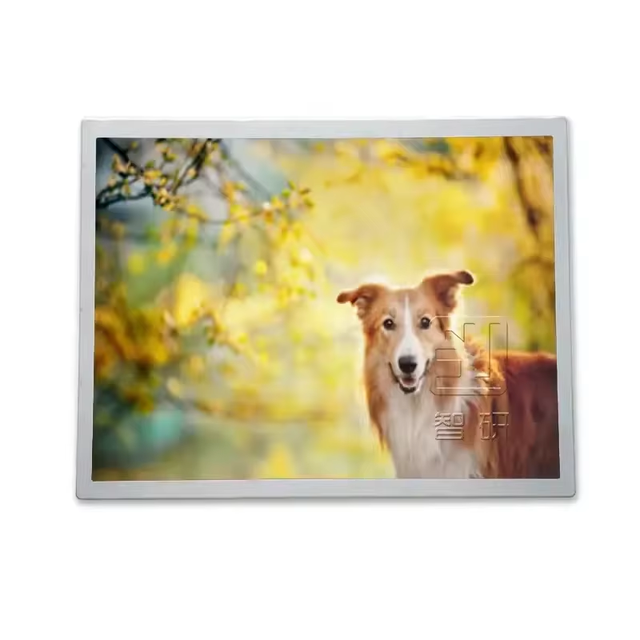 T-64877GD031ZU-T-AEN 480*240 30 Pins IPS Screen Lcd Panel