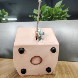 Modelo de simulador de anticoncepción femenina avanzado DARHMMY para Educación de Planificación Familiar de Ciencias Médicas - Product Image 6