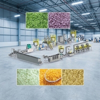 Ligne de production de riz nutritionnel entièrement automatique en acier inoxydable, extrudeuse à double vis, haute capacité, pour le traitement des grains de riz enrichis