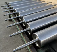 Rouleaux de guidage non motorisés en acier inoxydable brossé