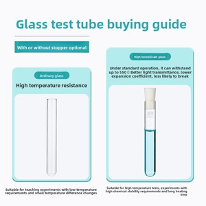 Verre borosilicate plat Xiangbo <span class=keywords><strong>à</strong></span> fond épaissi, résistant <span class=keywords><strong>à</strong></span> la chaleur, pour <span class=keywords><strong>tubes</strong></span> <span class=keywords><strong>à</strong></span> <span class=keywords><strong>essai</strong></span> de laboratoire chimique - Product Image 3