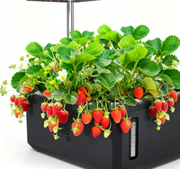 Jardín Hidropónico Interior Inteligente con Indicador de Nivel de Agua y Luz LED para Fresas