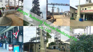 Olio di oliva vergine olio di oliva puro al 100% olio di frutta EXTRA vergine prezzi di coltivazione biologica cura vergine verde 100% purezza 1 L - Product Image 5