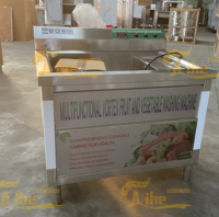Automatische Vortex Fruit- en Groentewasmachine voor Centrale Keukenverwerking
