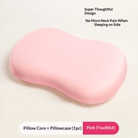 Busa Memori Bantal Penyangga Leher Anak-anak Dewasa Inti Bantal Multifungsi Jahitan Berlapis 3D Grosir Dropshipping