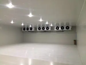 Jiangsu New High Productivity Cold Storage Room Bitzer Copeland Compressor