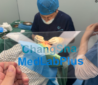 Micro-pinces pour greffe de cheveux, extraction et implantation des follicules capillaires, pinces en acier inoxydable, ensemble de 4 pièces, pince réglable