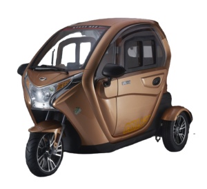 Tricycle à cabine fermée, <span class=keywords><strong>scooter</strong></span> à <span class=keywords><strong>3</strong></span> roues, moto électrique adulte 1500w - Product Image 1