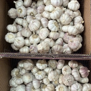 Vente en gros d'<span class=keywords><strong>ail</strong></span> frais de Chine, nouvelle récolte, exportation au Burkina Faso, 5,0 cm - Product Image 3