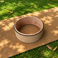 Roue de Yoga Portable de Haute Qualité en ABS pour Pilates, Antidérapante, Personnalisable avec Logo OEM, pour Exercices du Dos, en Liège et PP Imprimé