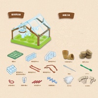 Enfant enfants jardin bricolage Kit de culture Mini serre arbre plante bonsaï Kit de démarrage pour les enfants