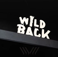 Enseigne LED personnalisée de qualité supérieure BH, lettres 3D découpées au laser, métal, acier inoxydable, lettres lumineuses 3D, panneau d'enseigne