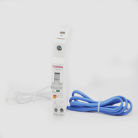 1P + N RCBO 6kA 10kA Rcd disjoncteur résiduel 30mA mini disjoncteur résiduel actuel avec protection contre les surintensités