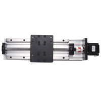 Module de vis à billes à double guide 100-1000 mm, moteur pas à pas 57 HPV6 pour machine de fraisage CNC, promotion authentique et efficace pour les voyages