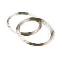 Alambre de iridio 99.99% Alta pureza 0,25mm 0,5mm 1mm Metal precioso Ir Materiales de alambre de iridio Personalizar longitud
