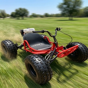<span class=keywords><strong>Go</strong></span>-<span class=keywords><strong>Kart</strong></span> Profesional de Carreras <span class=keywords><strong>a</strong></span> Gasolina para Adultos, Motor de 4 Tiempos, Velocidad Máxima de 60 km/h, Chasis de Acero con Cadena, Frenos de Disco Hidráulicos - Product Image 3