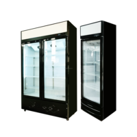 Réfrigérateur commercial de 300 L pour boissons, vitrine réfrigérée pour bouteilles d'eau, refroidisseur vertical