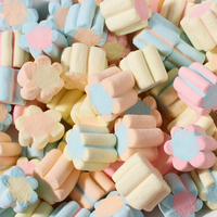 Wholesale Bulk Candy Sugar Free Supplier Various Colored Shapes Gummies Sweets Marshmallows Candy