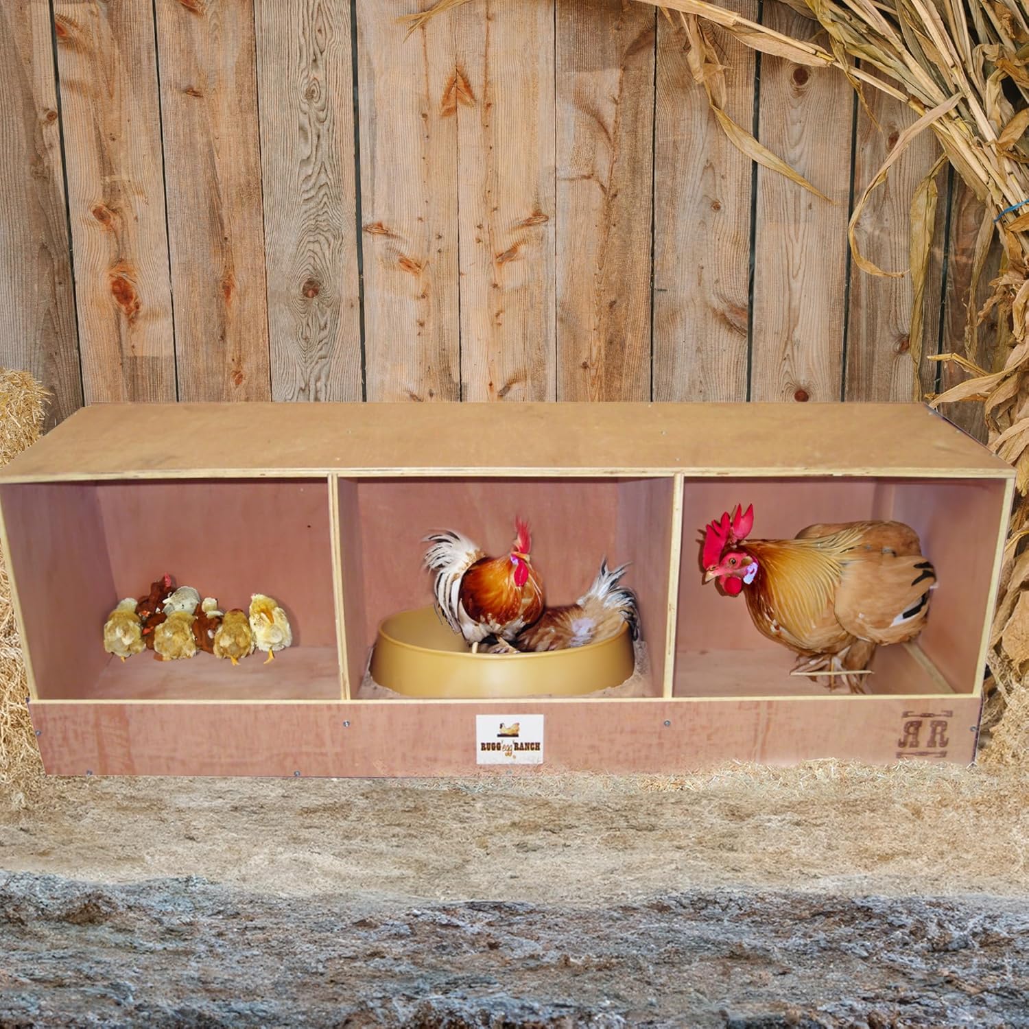 How to Choose the Best Chicken Nest Box for Your Coop