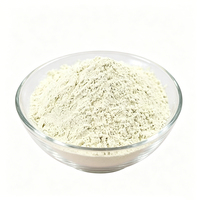 Complément alimentaire de qualité alimentaire à base de plantes, sans gluten et sans sucre, faible en glucides, poudre de protéines de haricot mungo à 80%