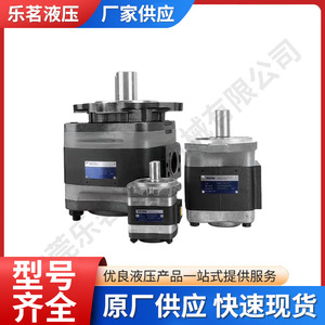 Bomba de engranajes de alta presión variable para máquina de moldeo por inyección - Product Image 5