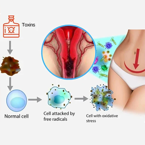 Cápsulas SereneCare Yoni para Reparación Postparto, Estrechamiento Vaginal y Cierre de Pelvis, 100% Hierbas Naturales, Yoni Pops - Product Image 5