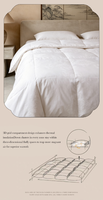 Couette en duvet de canard toutes saisons, taille Queen, blanche, douce, chaude et respirante, ensemble de literie pour la maison