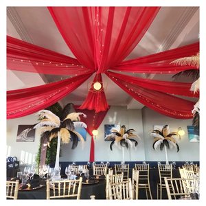 Fiestas Rojas, cortinas de boda, 2 paneles, 5x20FT, cortina de gasa, telón de fondo, cortinas de techo, decoración, arco de boda, tela drapeada - Product Image 6
