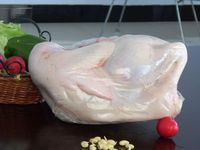 Sacs rétractables de poulet de volaille en plastique imprimés EVA personnalisés pour poulet
