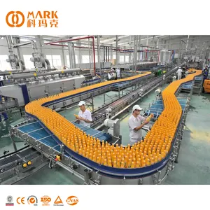 Full Automatic Small Processing And Packaging Filling Juice Making Machine Production Line
