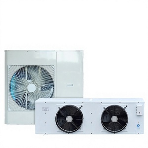 Congélateur commercial à économie d'énergie, <span class=keywords><strong>prix</strong></span> usine, pour la conservation des fruits de mer congelés, des boulettes de crevettes et de poisson, usage en usine alimentaire - Product Image 3