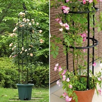 120-180 cm Garten Rose Blumen Metall-Klettergerüst Schlitz für Indoor-Töpfe Pflanzen