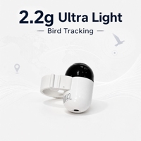 Traceur GPS pour pigeons de course sans abonnement, bague d'entraînement étanche IP67 avec carte en temps réel et couleur personnalisable