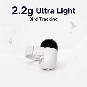 Traceur GPS+LTE Mini Bluetooth pour <span class=keywords><strong>oiseaux</strong></span>, alarme anti-perte 120 dB, étanche IP67, localisateur de position pour animaux de ferme et domestiques, prêt à être expédié - Product Image 6