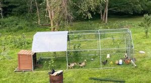 โรงเรือนเลี้ยง<span class=keywords><strong>ไก่</strong></span>เหล็กชุบสังกะสีแบบ A-Type ทนทาน พร้อมผ้าคลุมกันน้ำ สำหรับฟาร์มไก่ ขายปลีก สินค้าใหม่ - Product Image 2